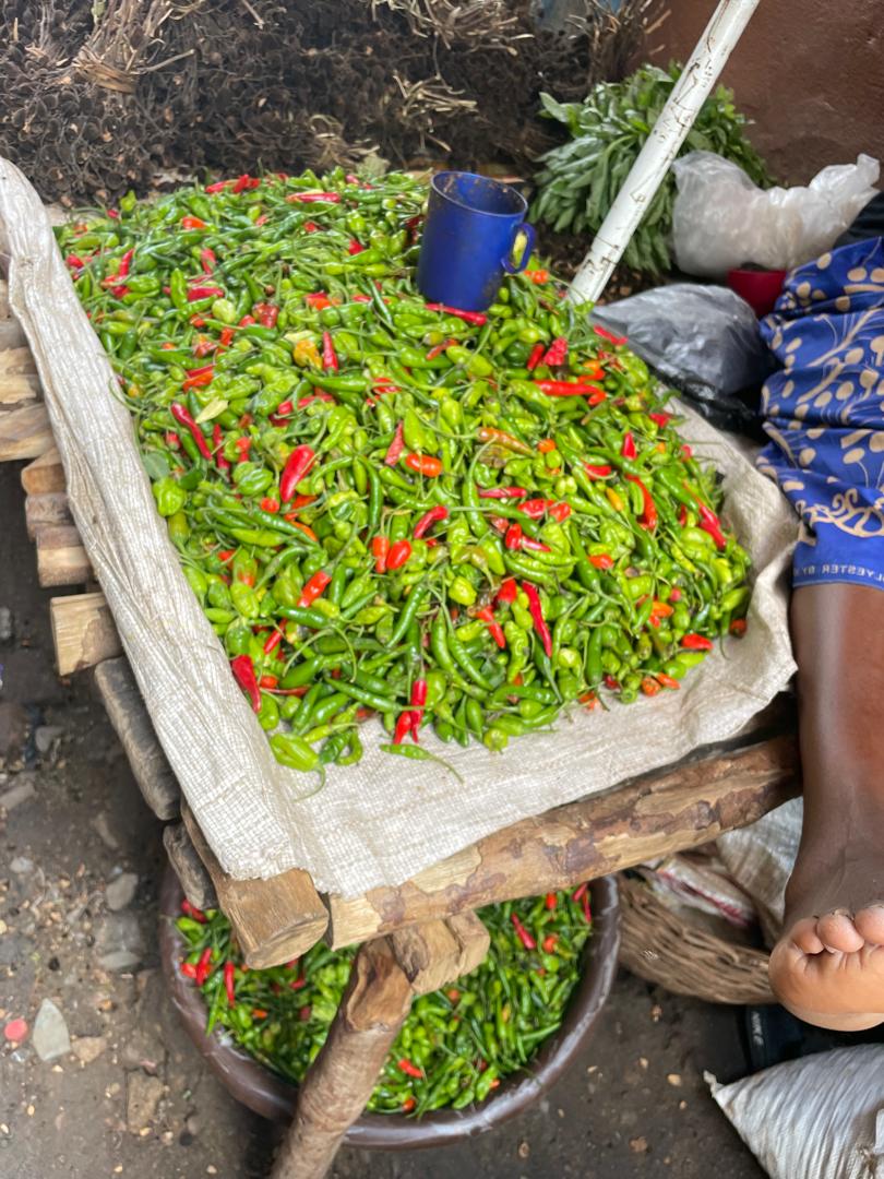 WhatsApp Image 2026 03 14 At 05.48.13 (20)