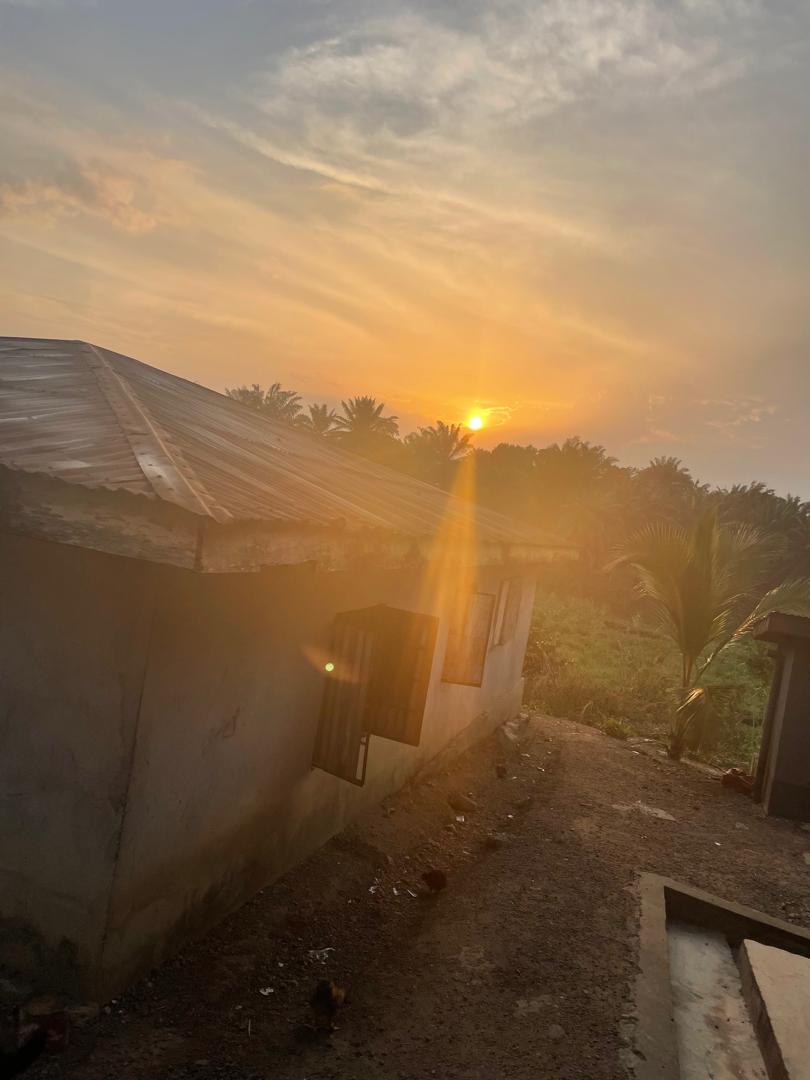 WhatsApp Image 2026 03 14 At 13.37.24 (1)