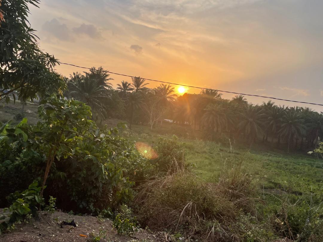 WhatsApp Image 2026 03 14 At 13.37.23