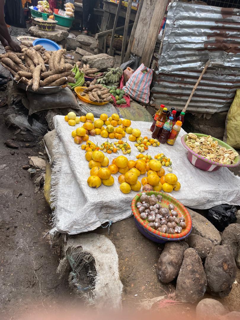 WhatsApp Image 2026 03 14 At 05.48.13 (10)