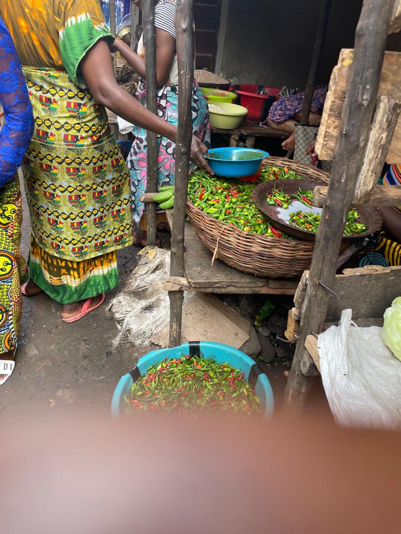 WhatsApp Image 2026 03 14 At 05.48.13 (4)