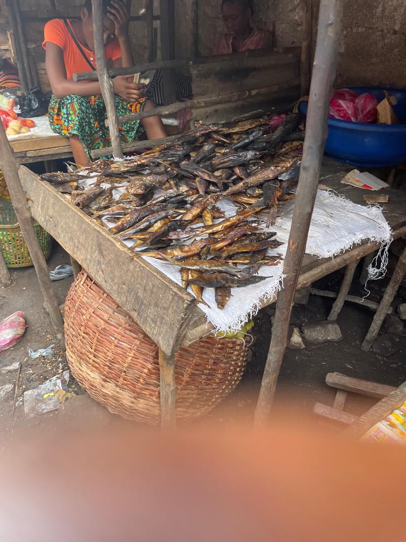 WhatsApp Image 2026 03 14 At 05.48.13 (3)