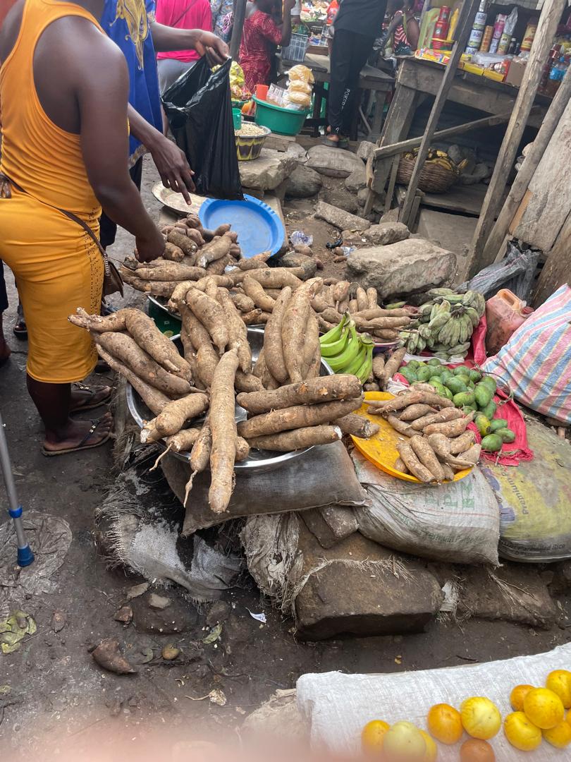 WhatsApp Image 2026 03 14 At 05.48.13 (1)