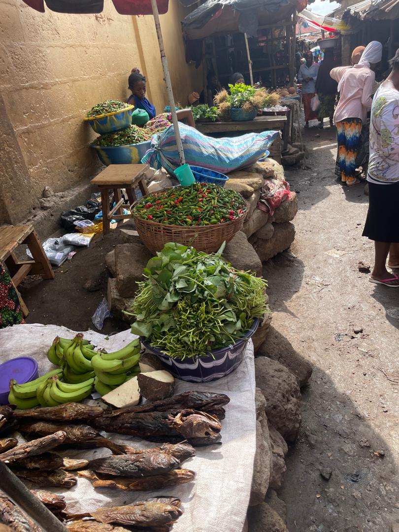 WhatsApp Image 2026 03 14 At 05.48.11 (2)