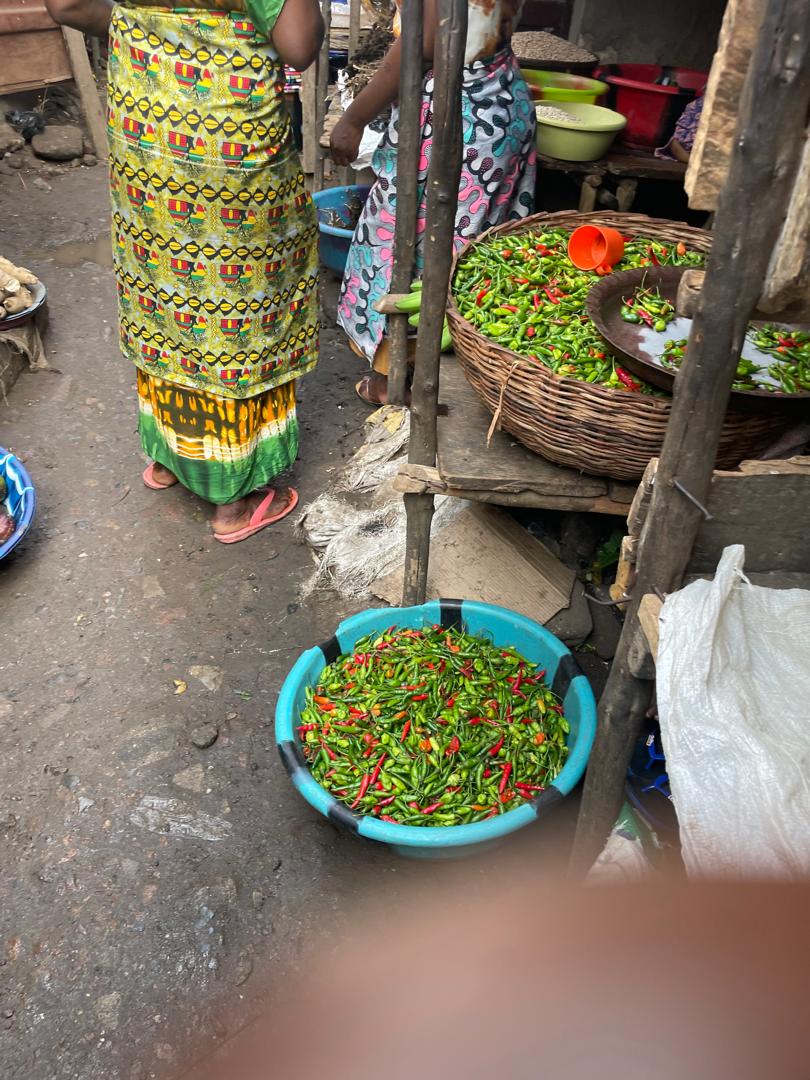 WhatsApp Image 2026 03 14 At 05.48.13 (5)