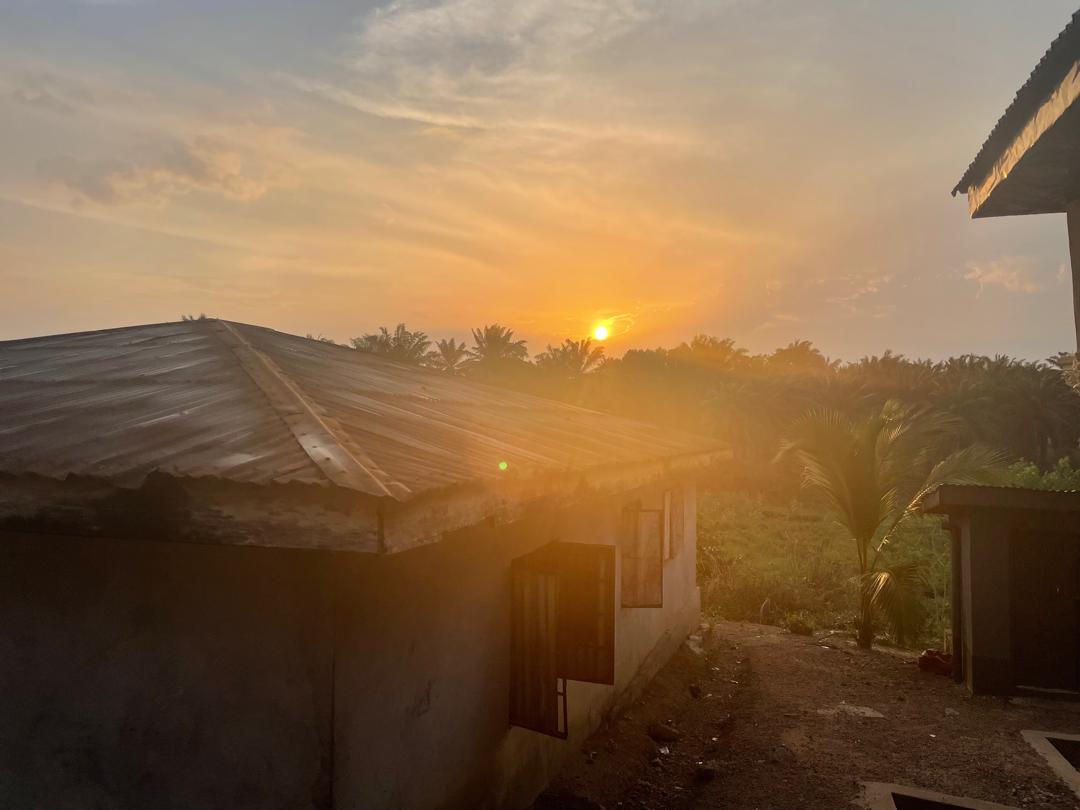 WhatsApp Image 2026 03 14 At 13.37.24