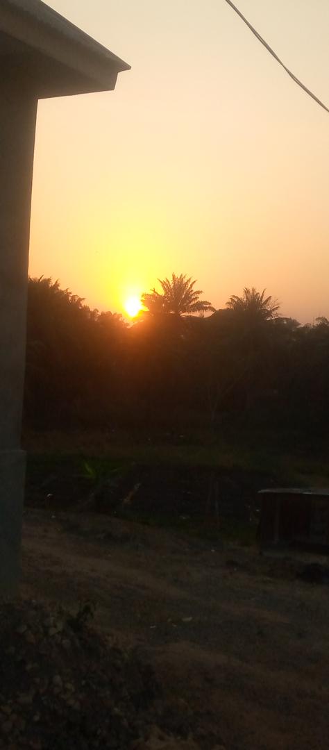 WhatsApp Image 2026 04 03 At 22.44.22 (2)