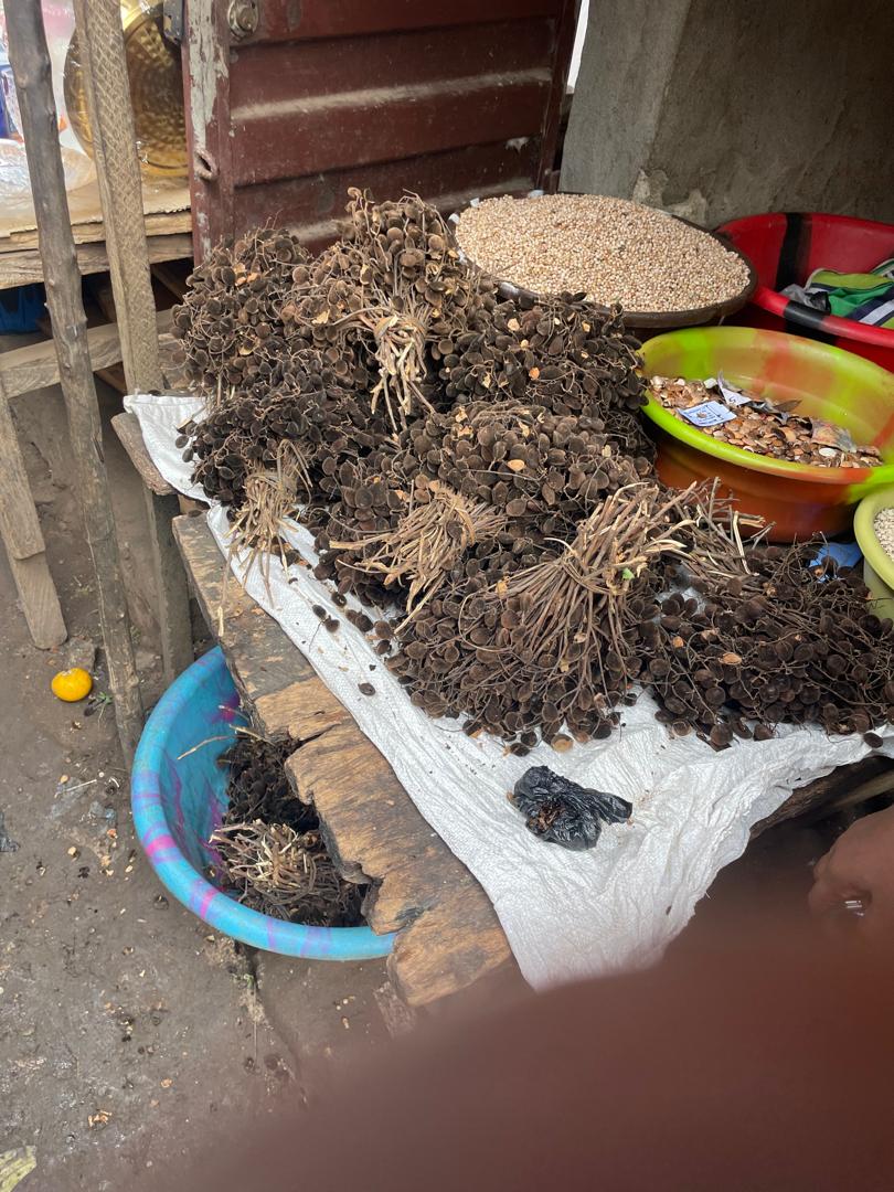 WhatsApp Image 2026 03 14 At 05.48.13 (6)