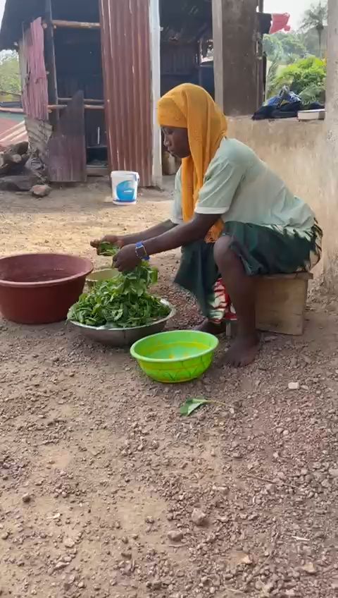 WhatsApp Video 2026 03 09 At 12.07.24