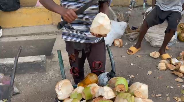 WhatsApp Video 2026 04 23 At 12.55.27