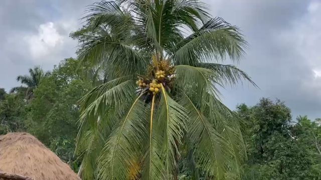 WhatsApp Video 2026 05 08 At 22.56.50