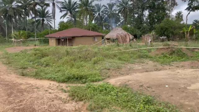 WhatsApp Video 2026 04 26 At 12.12.22