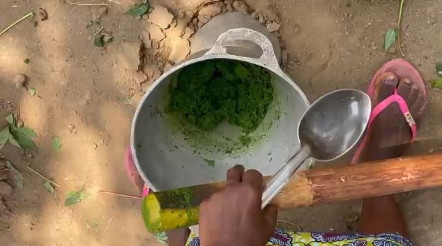 WhatsApp Video 2026 04 19 At 13.49.47