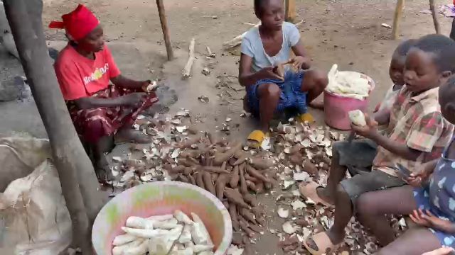 WhatsApp Video 2026 04 26 At 12.29.20