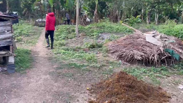 WhatsApp Video 2026 04 26 At 12.24.18