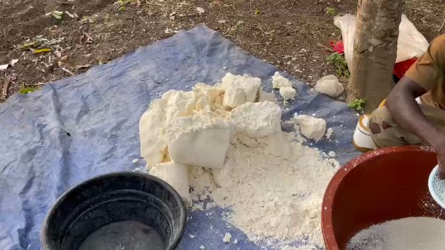WhatsApp Video 2026 04 26 At 12.30.55