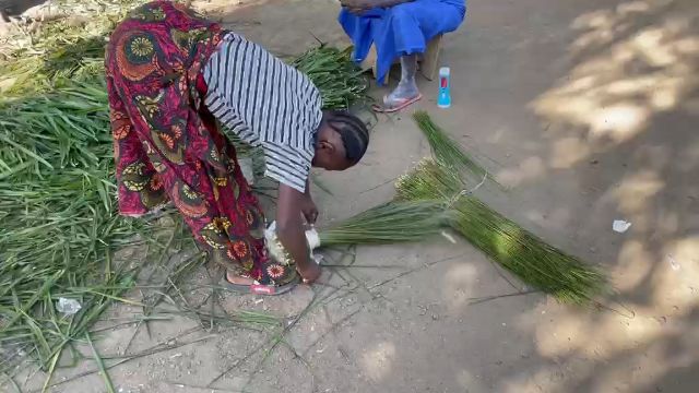 WhatsApp Video 2026 05 01 At 08.55.46 (1)