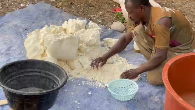 WhatsApp Video 2026 04 26 At 12.30.37