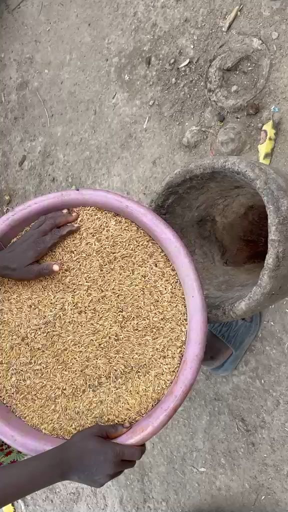 WhatsApp Video 2026 04 19 At 10.16.08
