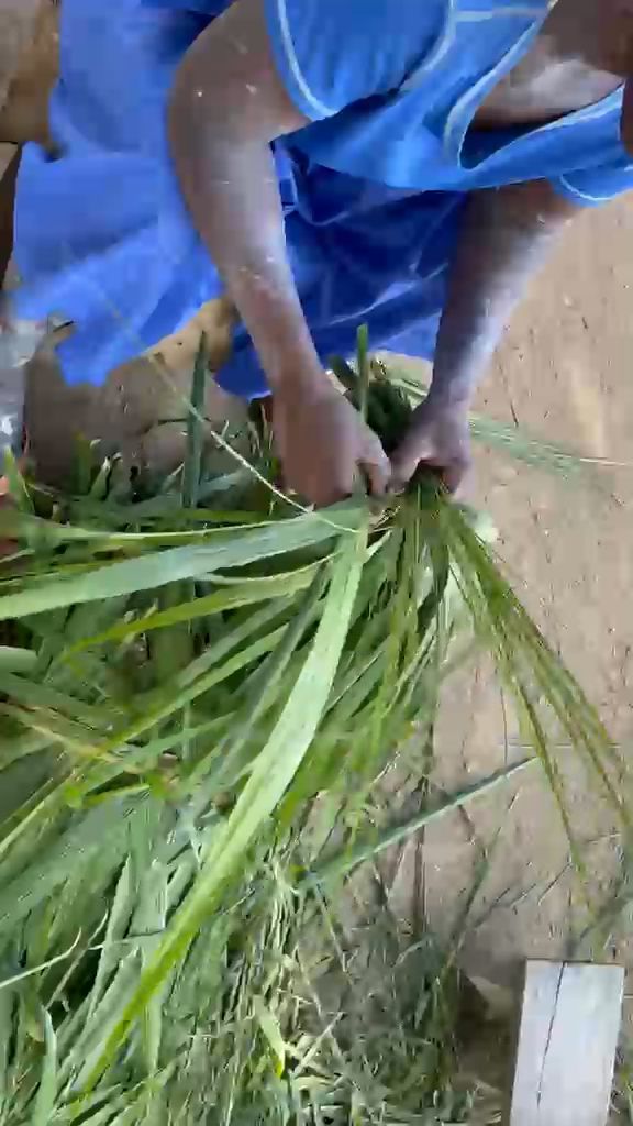 WhatsApp Video 2026 05 01 At 08.47.35