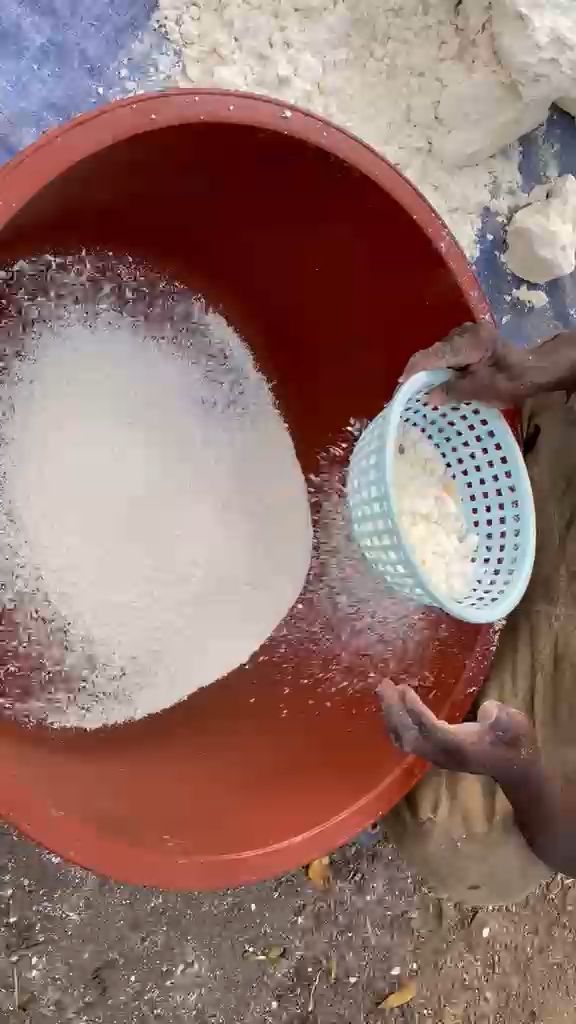 WhatsApp Video 2026 04 26 At 12.29.43