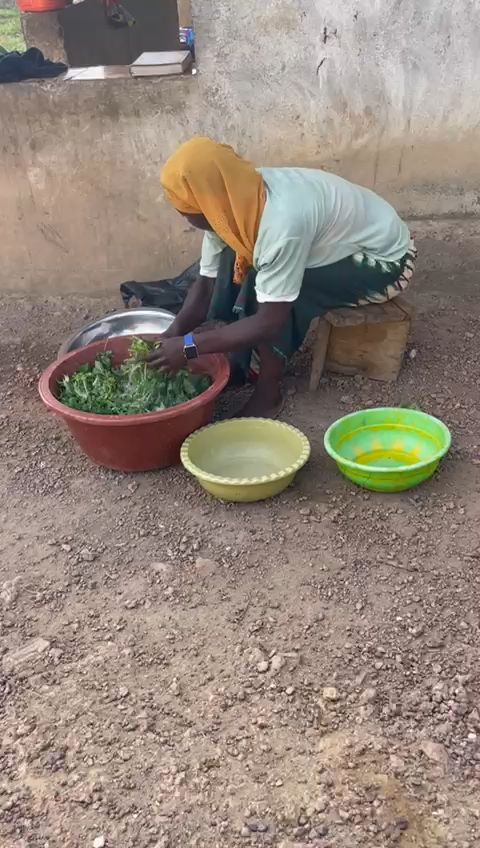 WhatsApp Video 2026 03 09 At 12.09.11