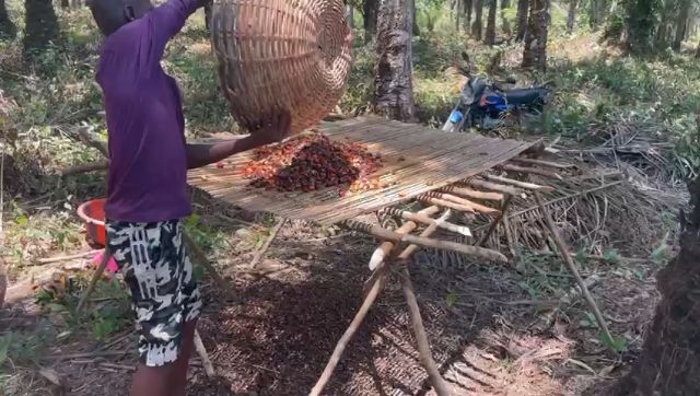 WhatsApp Video 2026 03 21 At 10.51.20