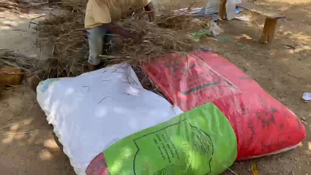 WhatsApp Video 2026 04 19 At 10.07.05