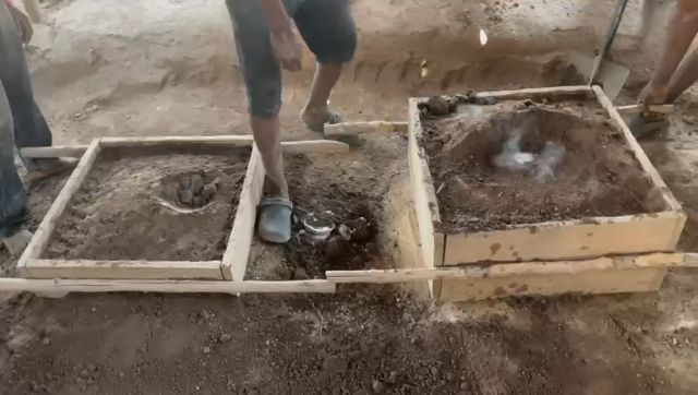 WhatsApp Video 2026 04 05 At 10.33.00