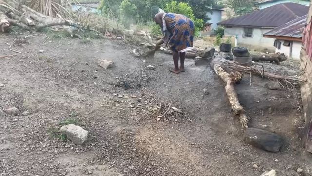 WhatsApp Video 2026 03 15 At 11.55.19
