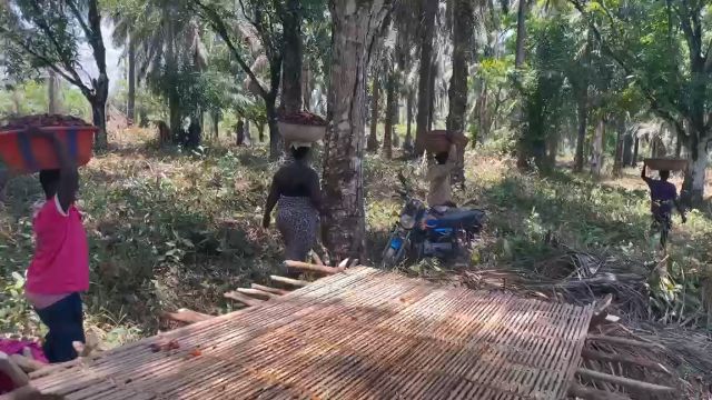 WhatsApp Video 2026 05 06 At 05.45.14