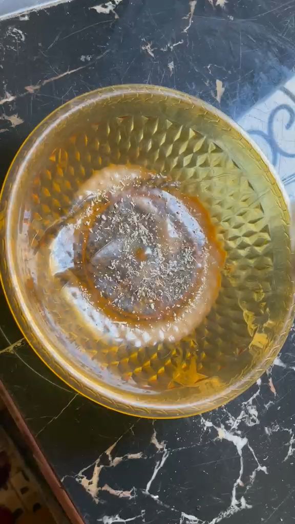 WhatsApp Video 2026 04 18 At 09.55.24