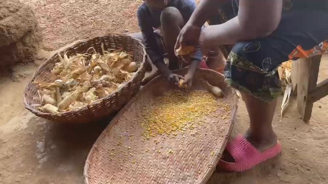 WhatsApp Video 2026 04 26 At 12.04.15