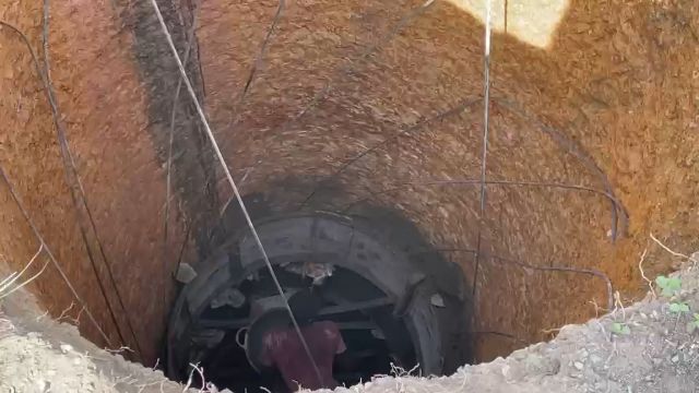 WhatsApp Video 2026 04 25 At 05.37.08