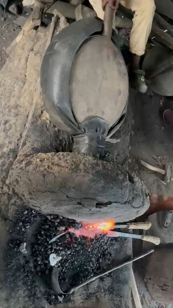 WhatsApp Video 2026 04 15 At 14.43.58