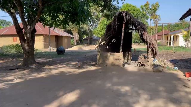 WhatsApp Video 2026 05 01 At 08.55.46