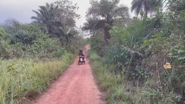 WhatsApp Video 2026 03 24 At 17.06.02