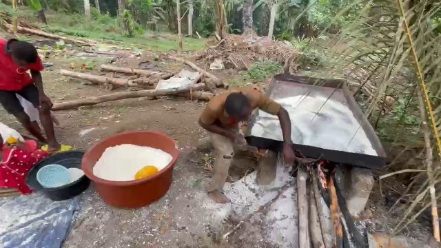 WhatsApp Video 2026 04 26 At 12.20.42