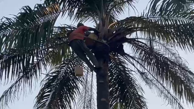 WhatsApp Video 2026 03 25 At 13.51.31