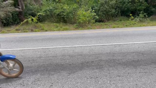 WhatsApp Video 2026 04 26 At 12.04.19