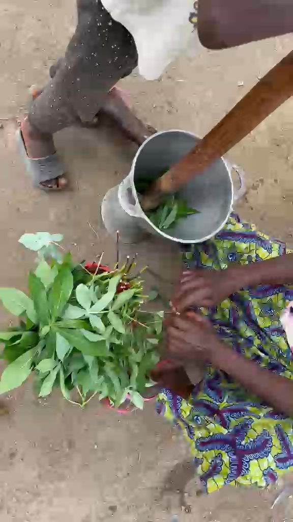 WhatsApp Video 2026 04 19 At 13.48.23