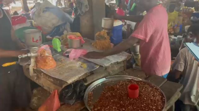 WhatsApp Video 2026 04 11 At 10.09.01