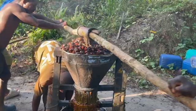 WhatsApp Video 2026 04 03 At 02.17.44