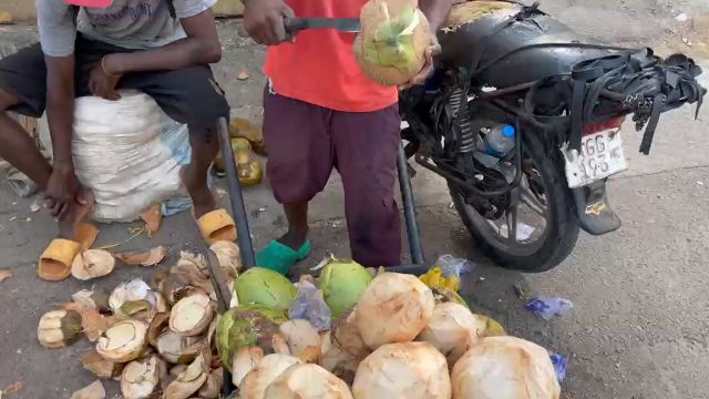 WhatsApp Video 2026 04 23 At 12.55.33