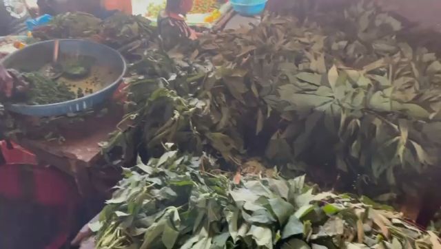 WhatsApp Video 2026 04 11 At 10.10.21