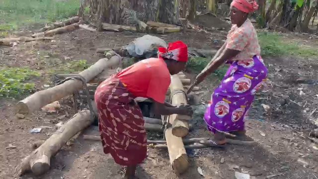WhatsApp Video 2026 04 26 At 12.23.40