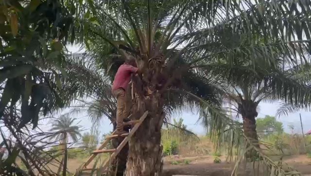 WhatsApp Video 2026 03 27 At 04.50.51