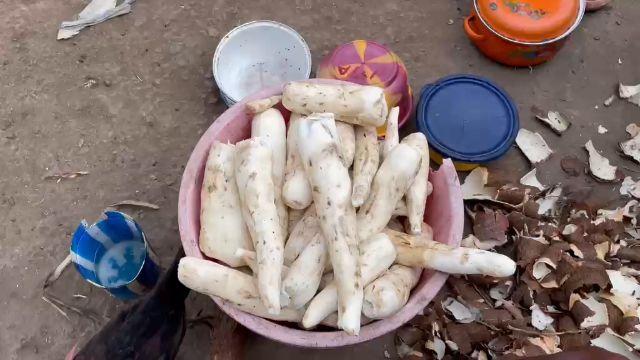 WhatsApp Video 2026 04 26 At 12.28.11