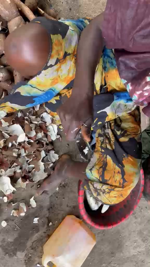 WhatsApp Video 2026 04 26 At 12.28.57