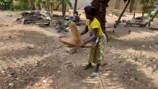 WhatsApp Video 2026 04 19 At 10.16.15